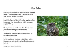 Bilderbuch-Uhu.pdf